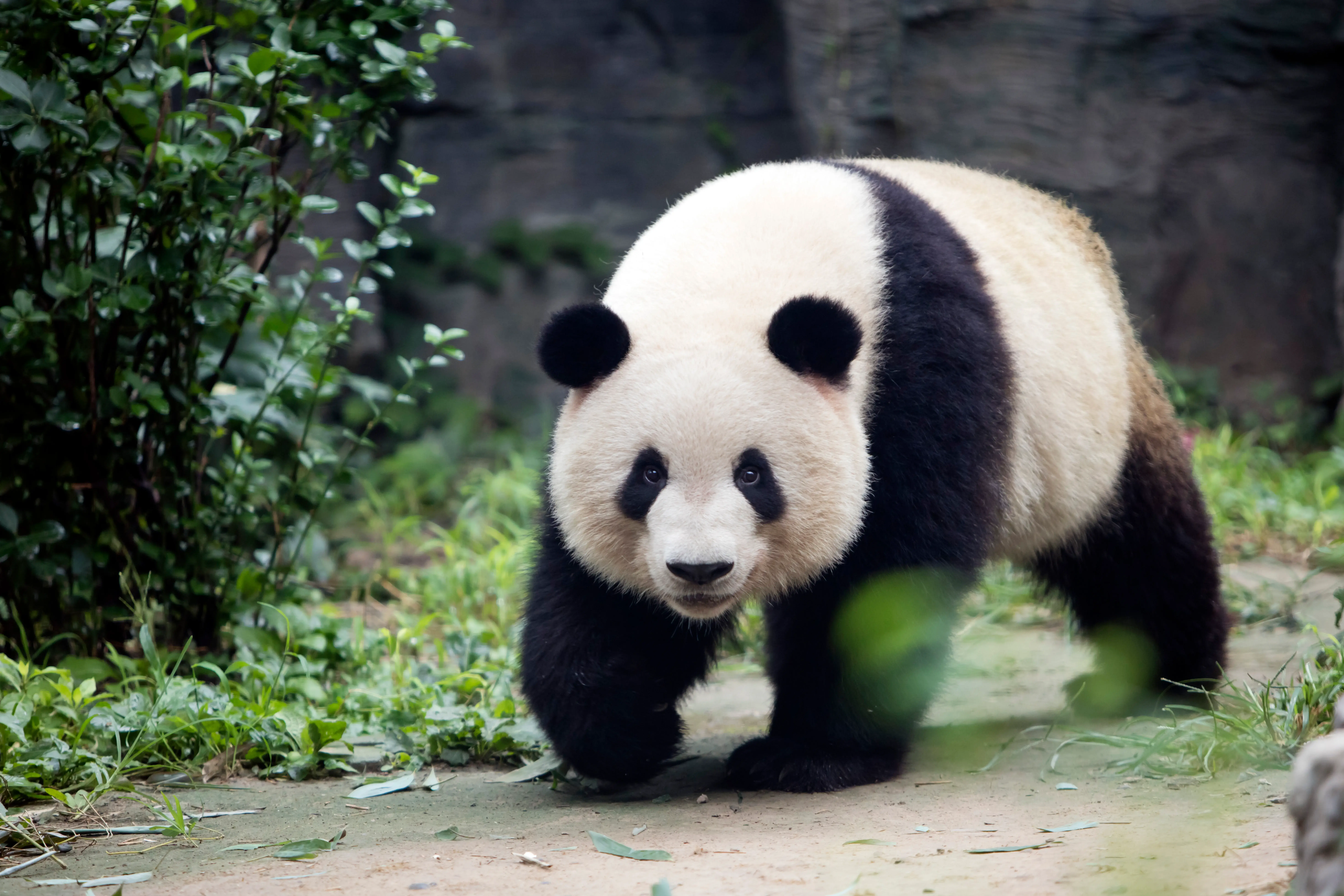 destination sichuan