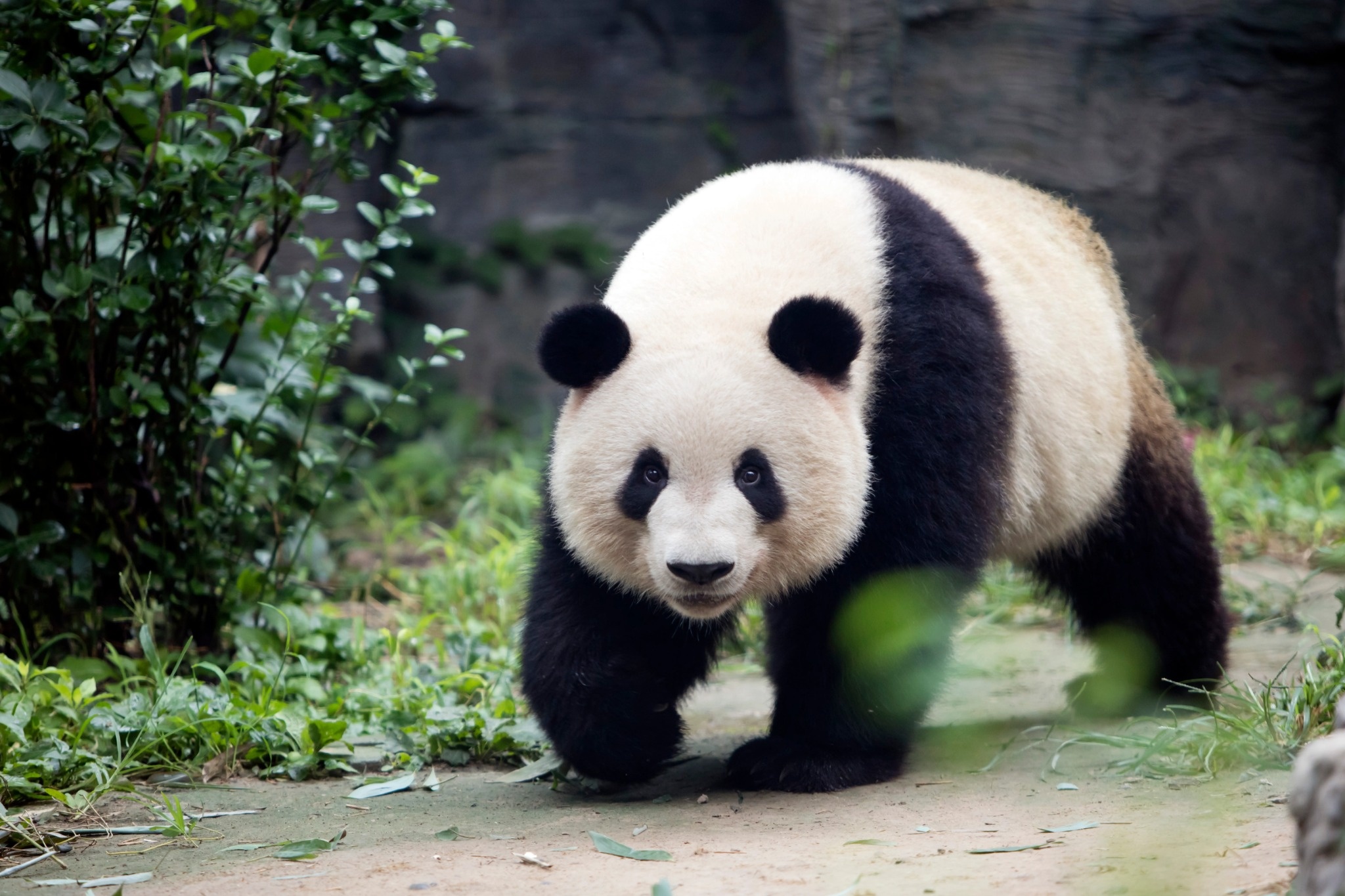 destination sichuan