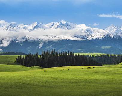 Xinjiang